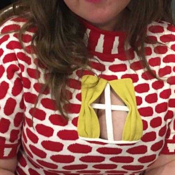 Fashion Brand Company Brick House Window Dress - Picture 2 of 6